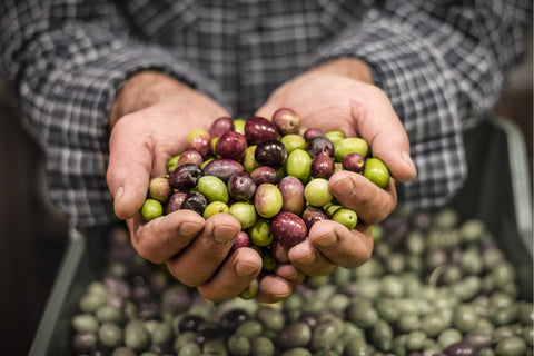The best olive oil in the world produced in Spain and delivered all over Ireland