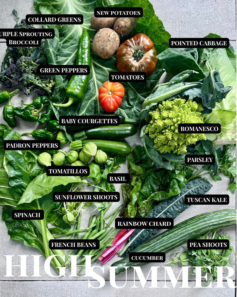 What to eat now and how to make it taste incredible - High Summer