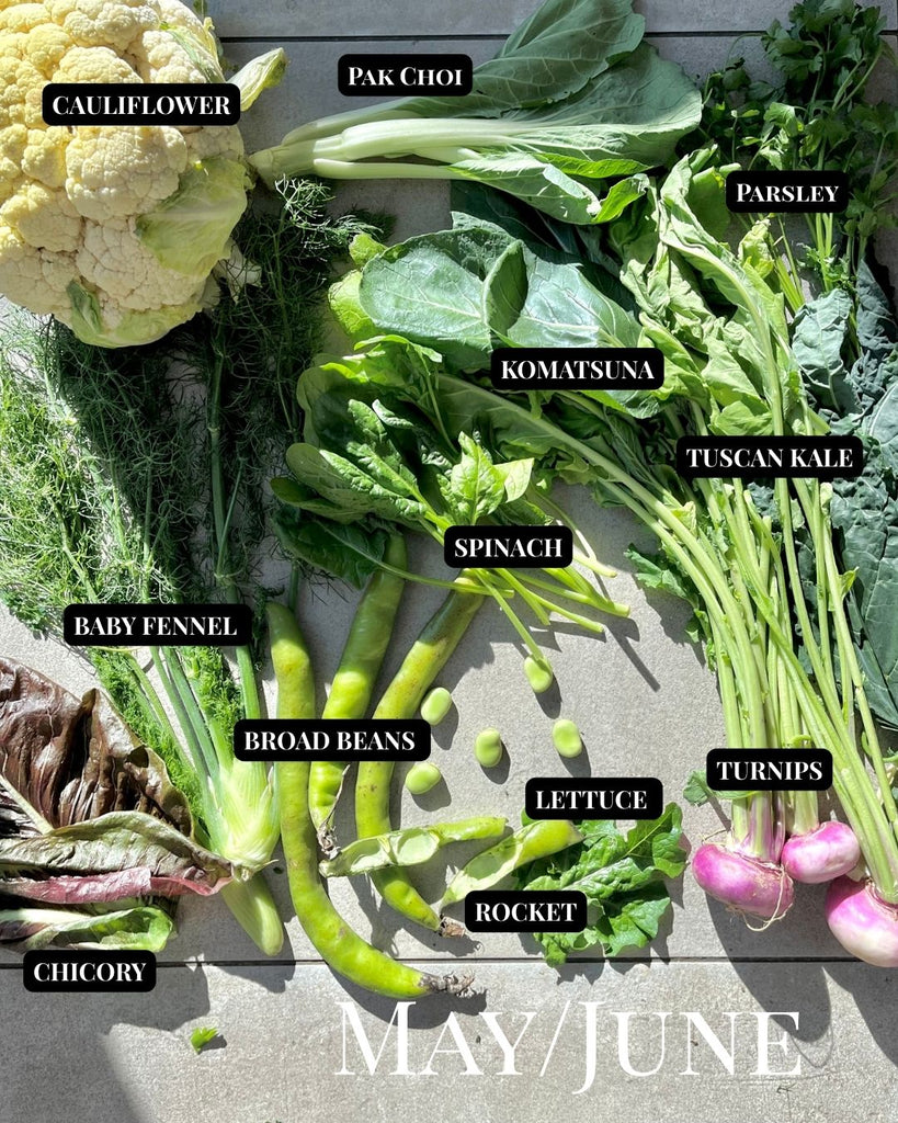 What to eat in early summer