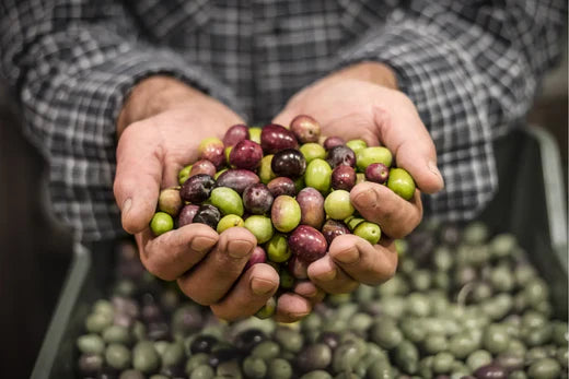 The Health Benefits of Olive Oil